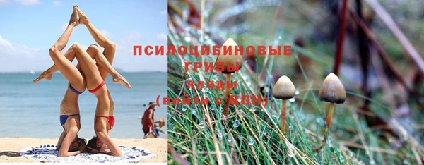 спиды Белоозёрский