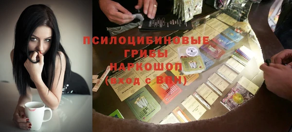 мяу мяу мука Белокуриха