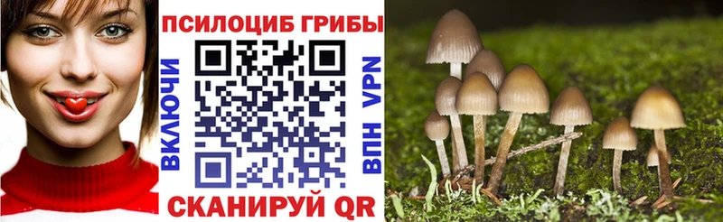 купить  цена  Воркута  Галлюциногенные грибы мицелий 